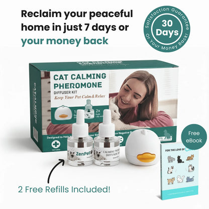Give Your cat The Peace of Mind TheyDeserve
