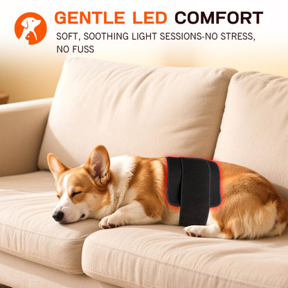 TheraLux Pet Red Light Mat